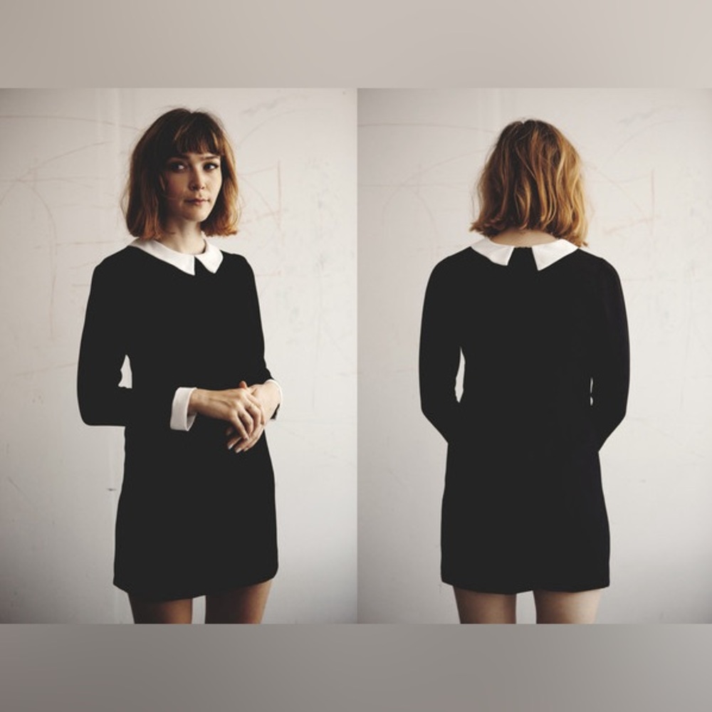 Bird of North America Skimmer Dress